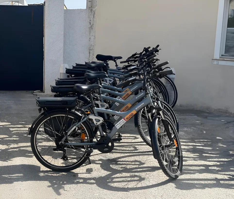 Station Du Bois Sacre Location De Velo Arles Partez A Laventure Avec Nos Velos Electriques