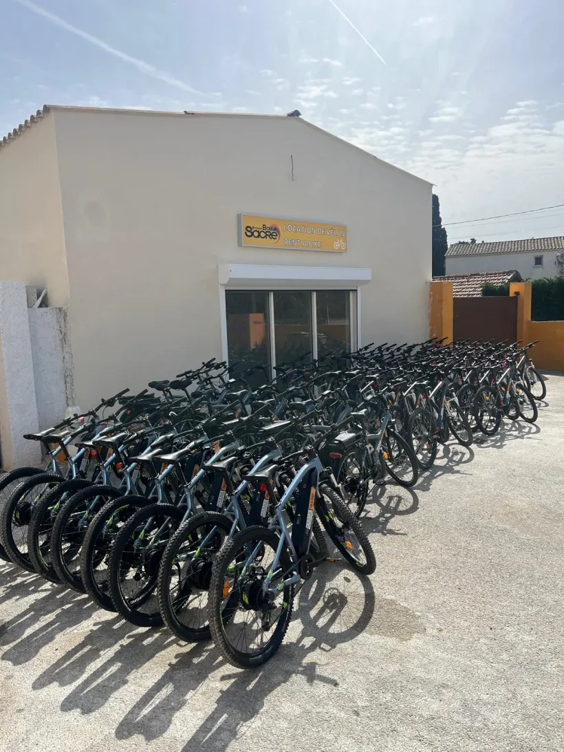 Station Du Bois Sacre Location De Velo Arles STATION DU BOIS SACRE Location De Velos Electriques Et Musculaires A Arles Img 1