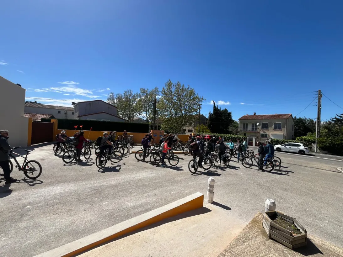 Station Du Bois Sacre Location De Velo Arles Un Service Local Au Coeur De Salin De Giraud